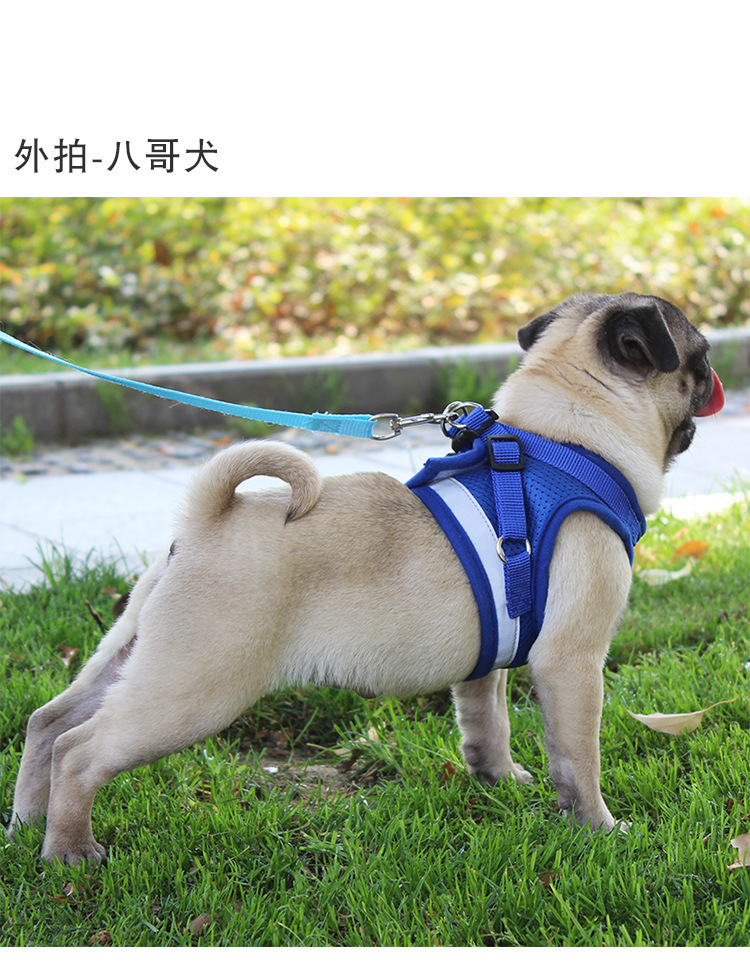 宠物狗狗胸背带反光狗狗牵引绳小型犬背心式宠物牵引绳现货