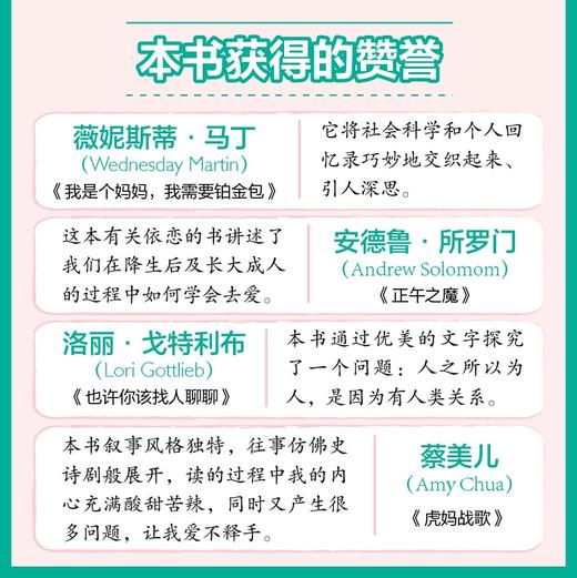 陌生情境实验 爱与依恋的心理学 商品图5