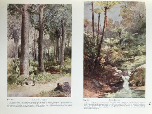 1923年 大洋洲风景图集 59幅插图（含32幅彩色） 漆布精装18开 商品图7