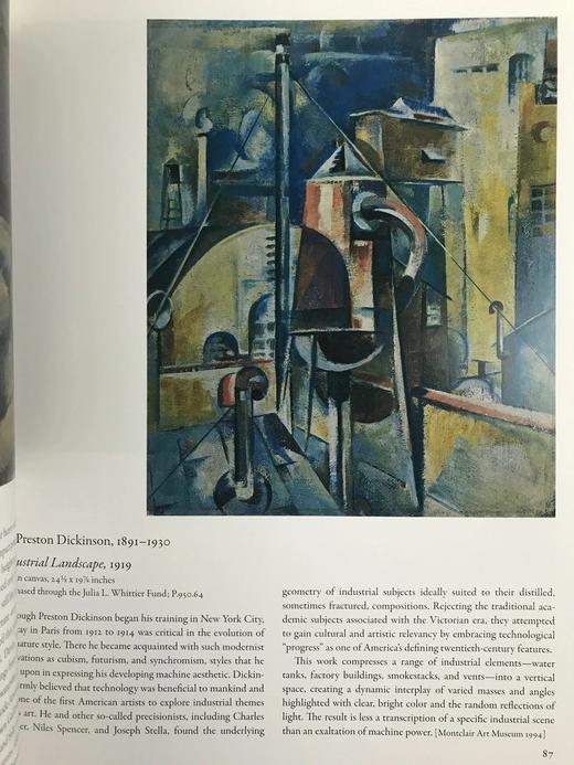 达特茅斯美国艺术图集 203幅插图 平装大16开 商品图11