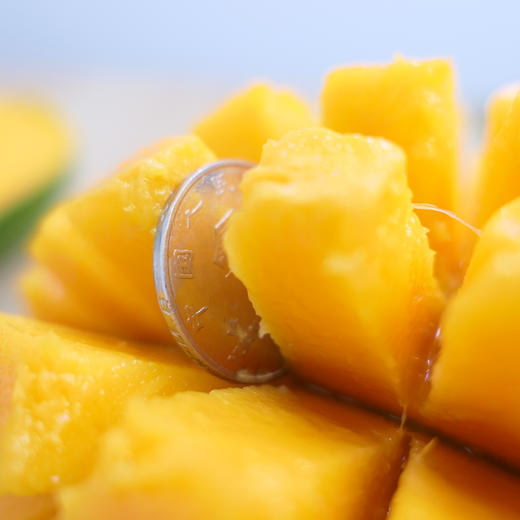 【 大脸肌肉芒】攀枝花凯特芒果 嫩滑细腻 香甜多汁 大口吃肉 （产地直发） 商品图1