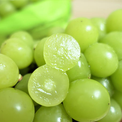 【甜蜜20°+】香印青提·阳光玫瑰葡萄 香甜爽口 饱满无籽 弥漫着淡淡玫瑰清香 商品图3