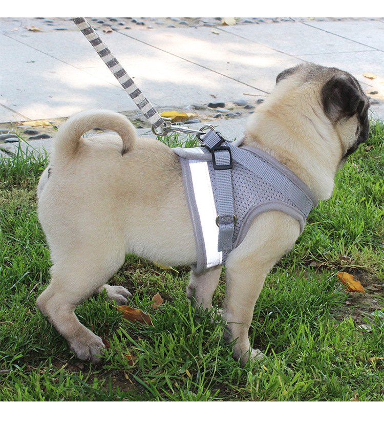 宠物狗狗胸背带反光狗狗牵引绳小型犬背心式宠物牵引绳现货