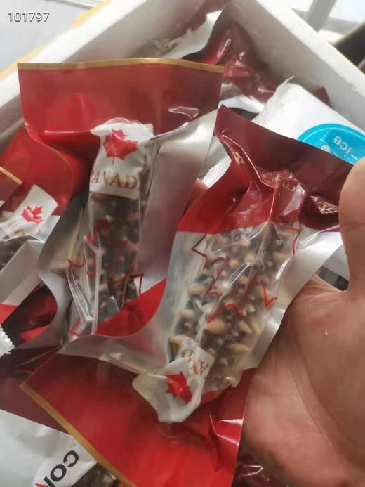 加拿大即食红刺参野生海参2磅开袋即食2种规格可选（一般贸易） 商品图8