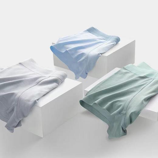 【猫人秋季新款抗jun防螨内裤】猫人男士内裤石墨烯抗jun无痕男纯色棉质四角裤平角裤透气底裤 商品图7