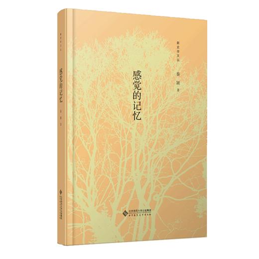 感觉的记忆 9787303264063 秦颖/著 新史学文丛 北京师范大学出版社 正版书籍 商品图1