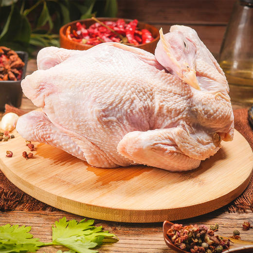 亿东篱山林放养90天高品质童子小公鸡 商品图3