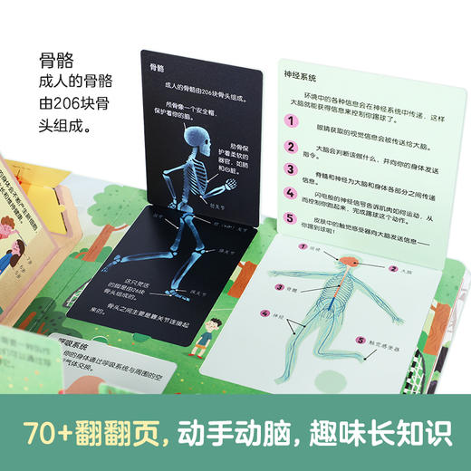 乐乐趣揭秘翻翻书低幼版第四辑 揭秘科学 商品图2