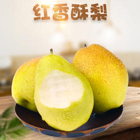 【陕西 红香酥梨 】2025年果 口感酥脆多汁 甜润酥脆香梨