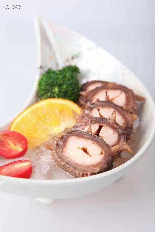 加拿大即食红刺参野生海参2磅开袋即食2种规格可选（一般贸易） 商品图7