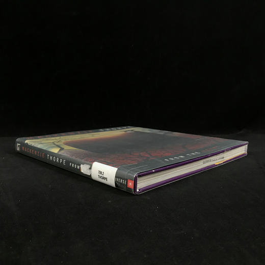 英国当代艺术家麦肯齐·索普画集：发自内心 近百幅彩色插图 精装16开 商品图1