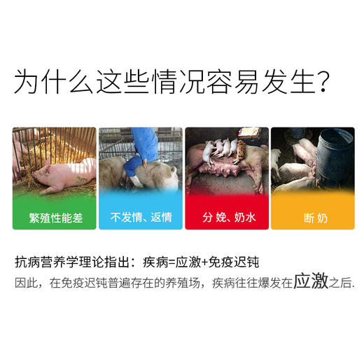 【防御1号】和仕康防御一号复合氨基酸维生素牛磺酸低聚木糖1公斤 商品图4