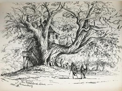 1856年 绘画协会作品集 约百幅插图 平装大16开 商品图14