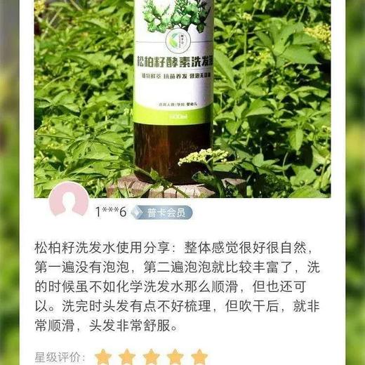 丨生态丨松柏籽洗发水500ml/瓶 chun植物chun 天 然 商品图3