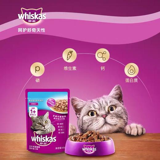 【7731】伟嘉妙鲜包成猫海洋鱼口味85g*12袋/盒 商品图5