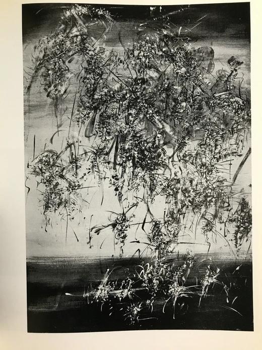 比利时国际现代艺术杂志《四重奏》 数百幅插图 漆布精装16开 商品图7