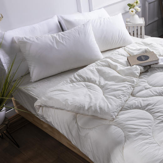 【远梦】MICHELL1870羊毛双人冬被 商品图0