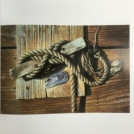 画家签名本！美国当代艺术家约翰·沃雷作品集 近百幅插图 精装16开 商品图10