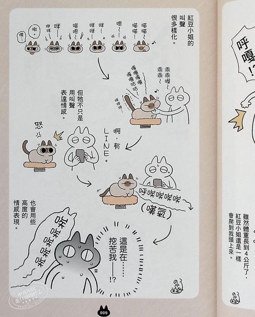 【中商原版】漫画 世界，还是绕着猫打转 Nobeko 台版漫画书 角川 商品图7