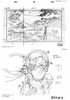 现货 进口日文 新世纪福音战士EVA 剧场版 破 アニメーション原画集 商品缩略图3