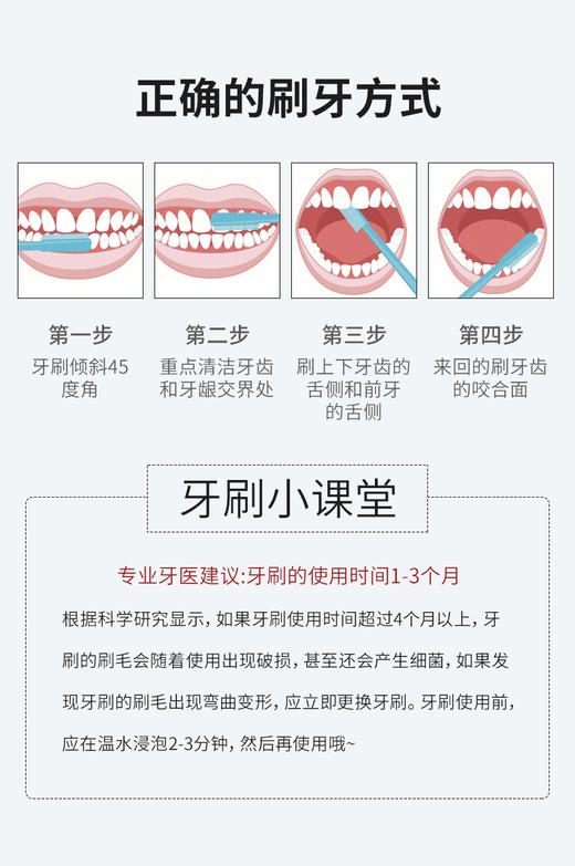 迪王小头牙刷四支装净白去渍呵护牙龈 商品图11