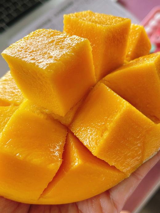 【凯特王妃芒】3头/6头，肉厚核小，纯甜无丝 商品图2