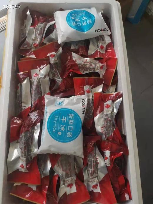 加拿大即食红刺参野生海参2磅开袋即食2种规格可选（一般贸易） 商品图9
