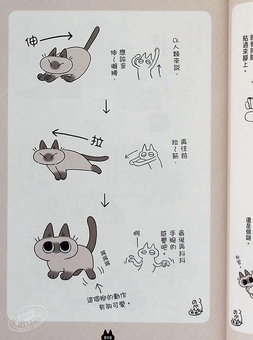 【中商原版】漫画 世界，还是绕着猫打转 Nobeko 台版漫画书 角川 商品图6
