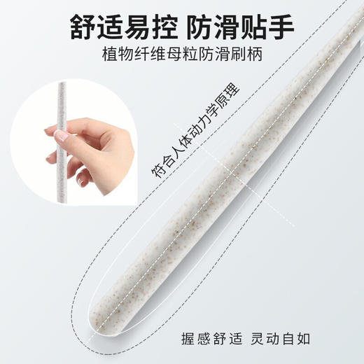 迪王小头牙刷四支装净白去渍呵护牙龈 商品图5