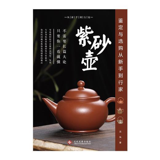 紫砂壶鉴定与选购从新手到行家 商品图1