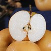 正宗秋月梨 4.5斤   A-5013（一箱6-9个梨） 商品缩略图2