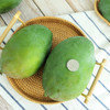 【 大脸肌肉芒】攀枝花凯特芒果 嫩滑细腻 香甜多汁 大口吃肉 （产地直发） 商品缩略图4