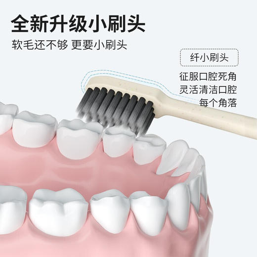 迪王小头牙刷四支装净白去渍呵护牙龈 商品图4