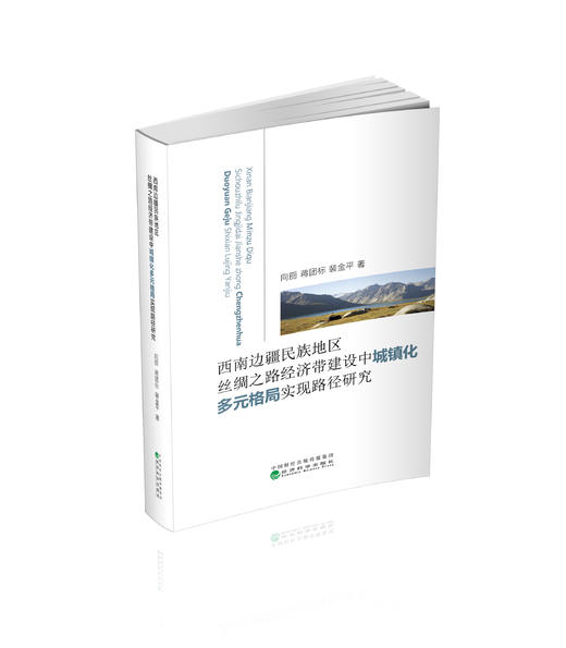 西南边疆民族地区丝绸之路经济带建设中城镇化多元格局实现路径研究 商品图0