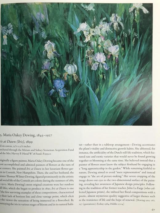 达特茅斯美国艺术图集 203幅插图 平装大16开 商品图14