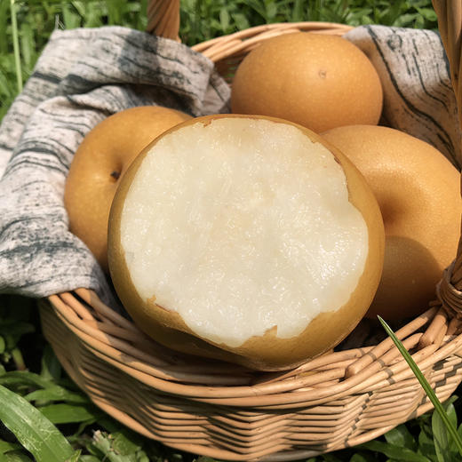 【大口畅快吃】秋月梨 脆嫩多汁 圆润饱满 细腻无渣 入口一股清甜环绕 商品图3