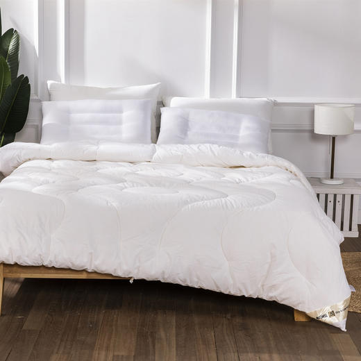 远梦MICHELL1870羊毛安睡被 商品图0