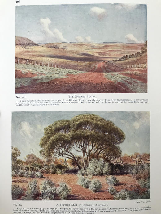 1923年 大洋洲风景图集 59幅插图（含32幅彩色） 漆布精装18开 商品图12