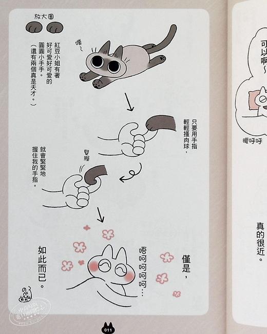 【中商原版】漫画 世界，还是绕着猫打转 Nobeko 台版漫画书 角川 商品图4