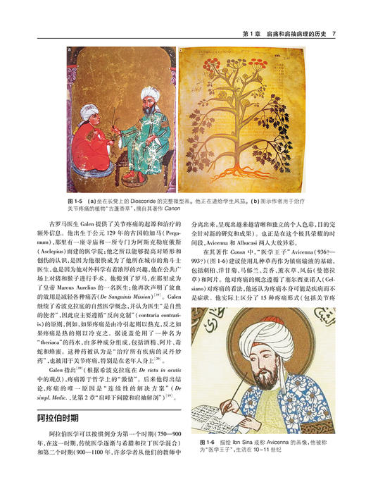 肩袖撕裂 机制 评估和治疗 王靖 刘向阳 主译 外科学书籍 肩袖损伤病因制定治疗方案肩关节疼痛 人民卫生出版社9787117318020 商品图4