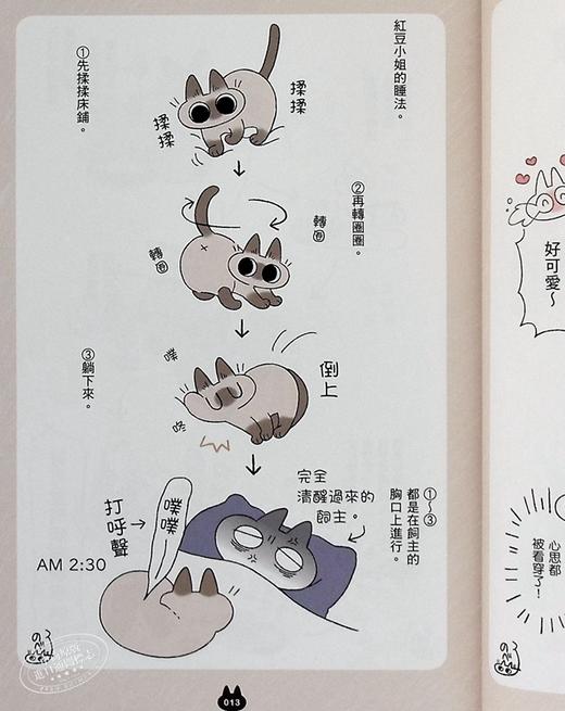 【中商原版】漫画 世界，还是绕着猫打转 Nobeko 台版漫画书 角川 商品图5
