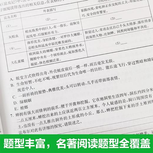 周计划.初中语文名著阅读高效训练.八年级 商品图4
