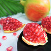 【可以喝的“雅诗兰黛”】突尼斯软籽石榴 清甜爆汁 享受不用吐籽的快乐（产地直发） 商品缩略图2