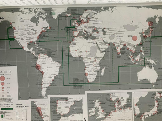 牛津世界经济地图集 300余幅插图 精装8开 商品图14