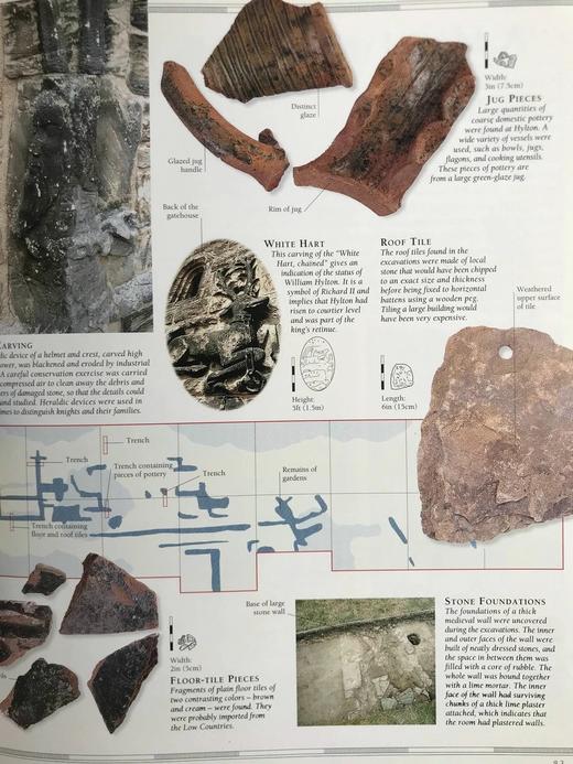 考古学图集 数百幅彩色插图 精装大16开 商品图14