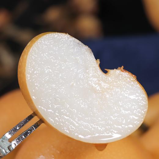 正宗秋月梨 4.5斤   A-5013（一箱6-9个梨） 商品图4