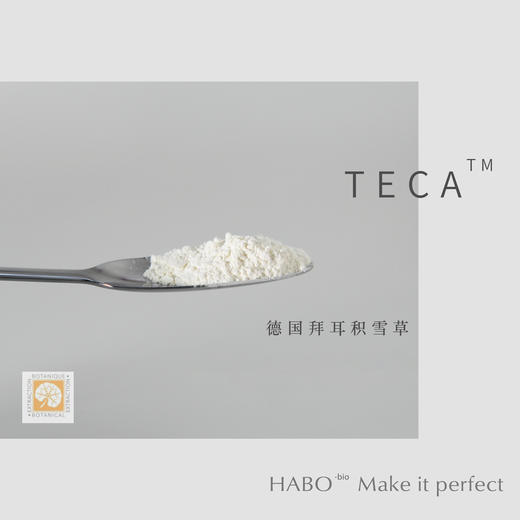 B-4【 拜耳积雪草粉末 】德国进口原料 商品图0