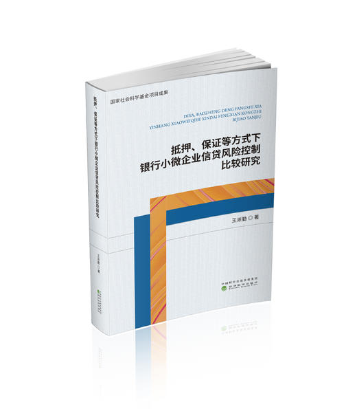 抵押、保证等方式下银行小微企业信贷风险控制比较研究 商品图0