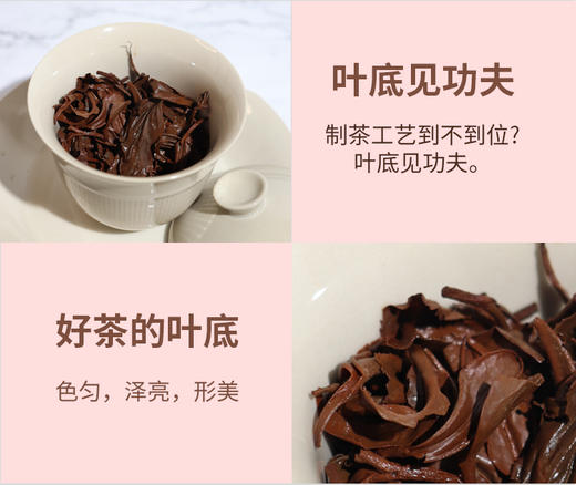 帕沙晒红 红茶 100g 商品图9