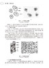 细胞生物学与医学遗传学实验教程 第3版 高等医药院校教材 蔡绍京 姚瑞芹等编 供基础临床预防口腔医学类专业用9787117316958 商品缩略图4